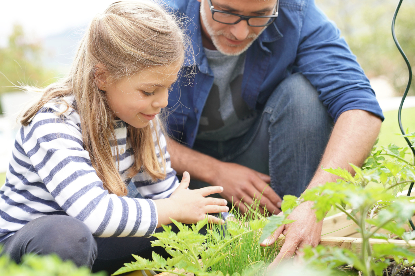 Growing Good Habits in Your Backyard | Kaleido Blog Article