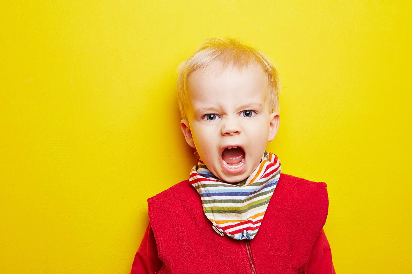 The “Terrible Two”: When, why and what to do about it? | Kaleido Blog Article