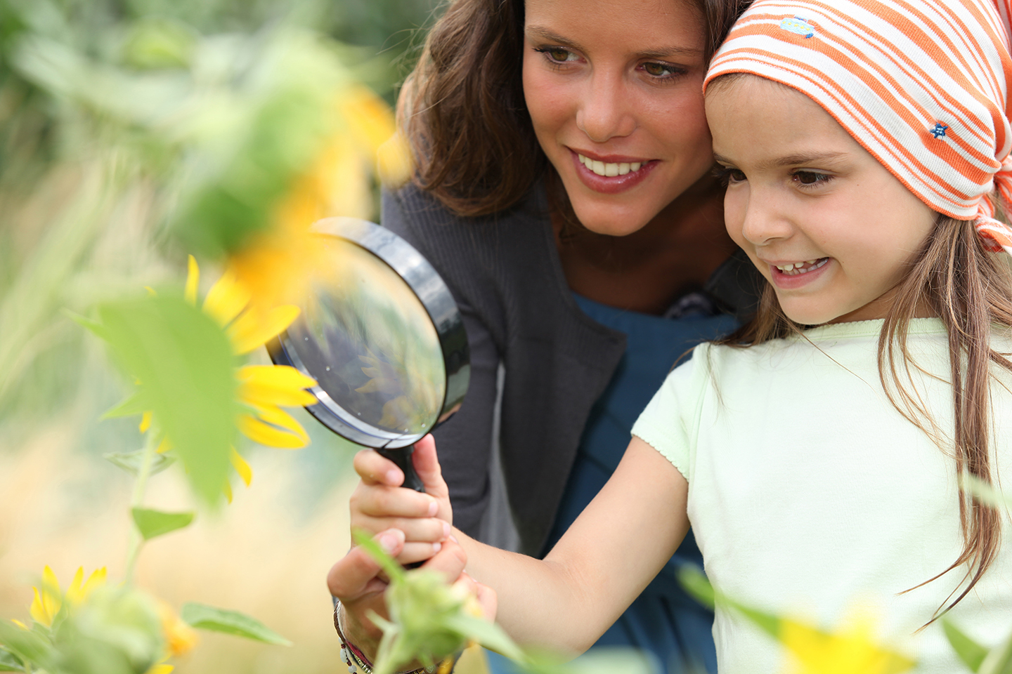 Comment poursuivre l’apprentissage de l’année scolaire | Article de blogue de Kaleido